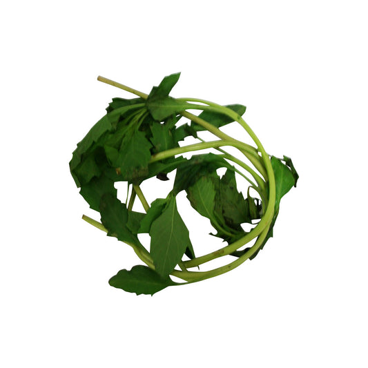 Amansa Guapo plant