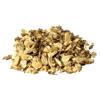 Angelica Root