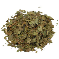 Black Walnut leaves