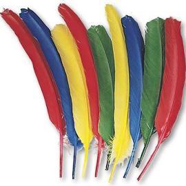 Quill pens